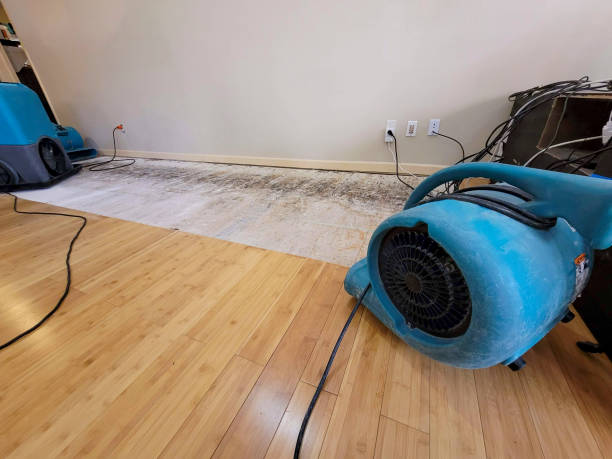 Professional Burst Pipe Water Damage technician working in Carversville, PA